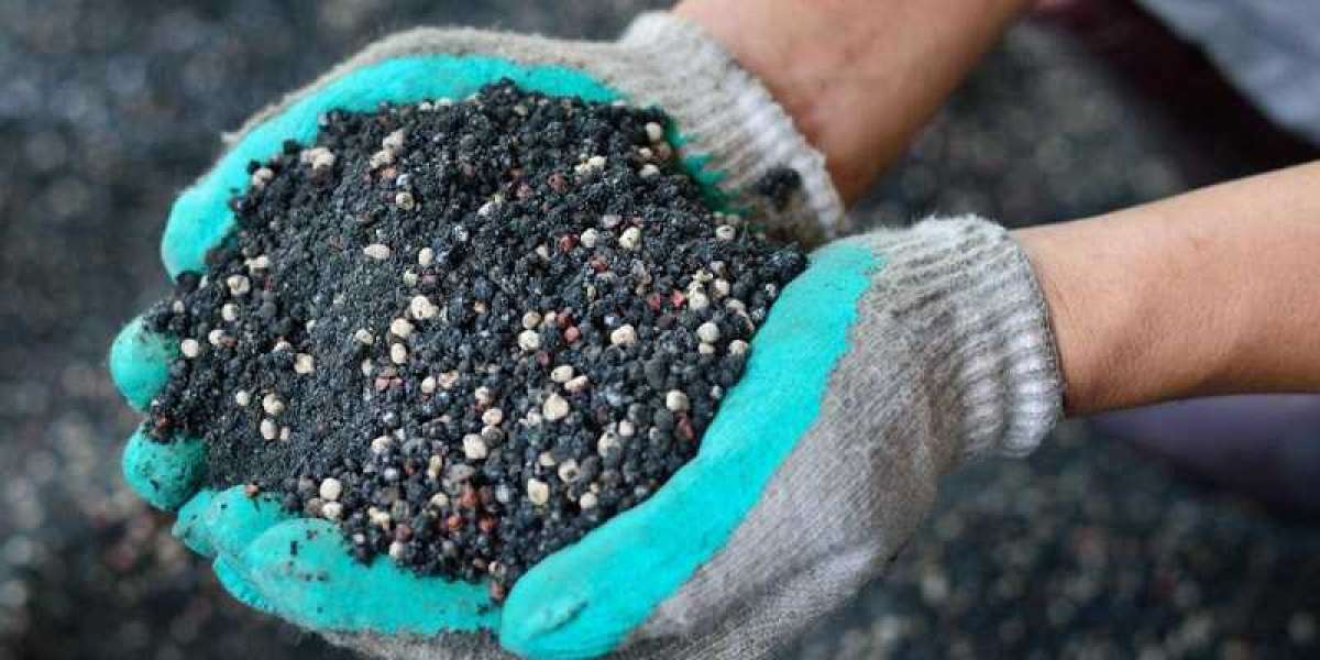 Các Biện Pháp Kỹ Thuật Chăm Sóc Mai Tết