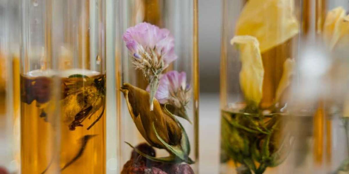 Unveiling the Sandalwood Oil Benefits and Exploring the Five Fragrance Ingredients