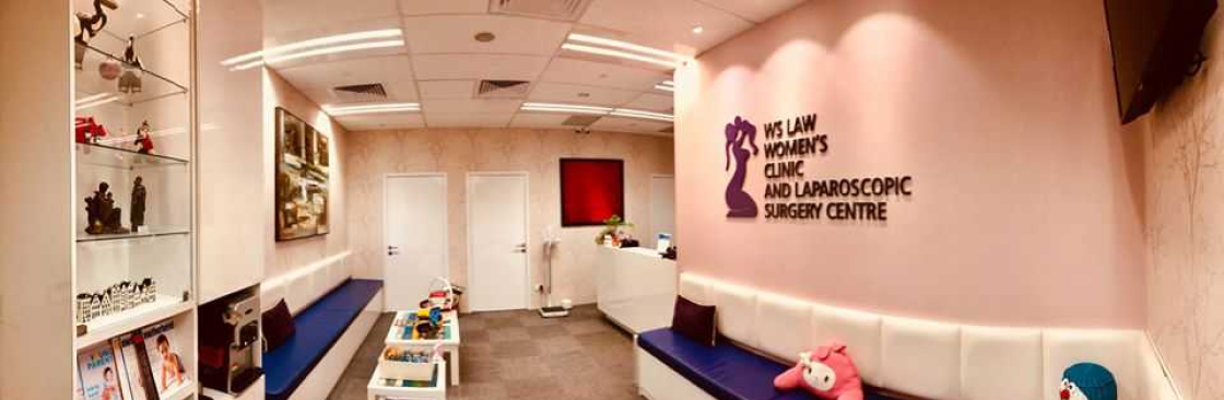 WS Law Women's Clinic Cover Image
