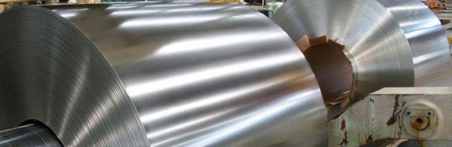 SYDNEY METAL TRADING LLC Cover Image