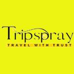 Trip spray Profile Picture