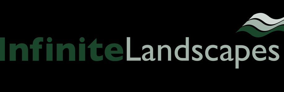 Infinite Landscapes Cover Image