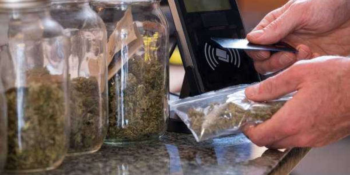 Article Picture