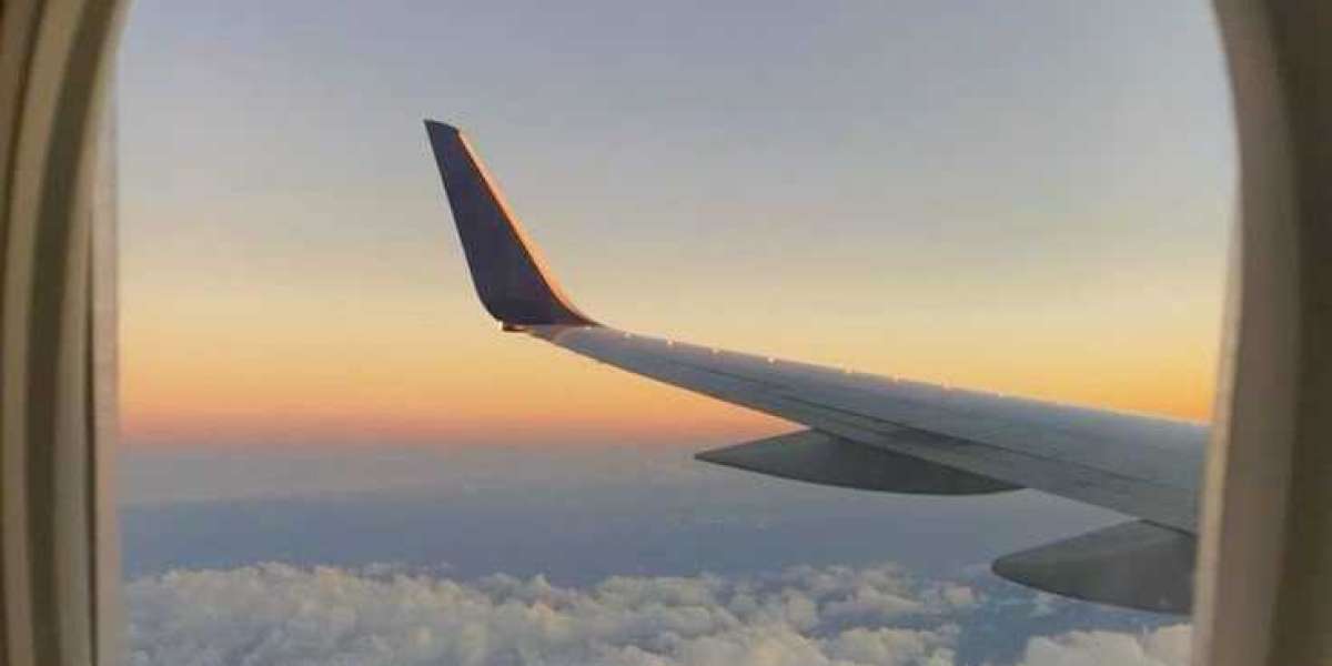 Article Picture