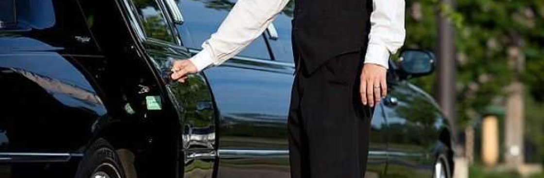 DanishLimousinen ServiceFrankfurtGmbH Cover Image