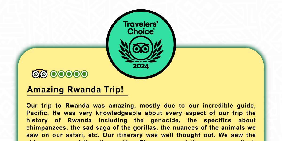 How Rwanda Vacation Tour Packages Make Travel Stress-Free