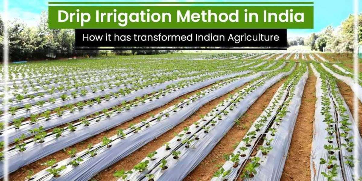 The Drip Irrigation Method in India