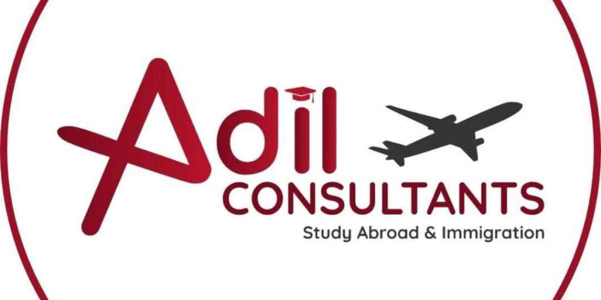 How a Consultant Agency in Abbottabad Can Ace Your Visa Process