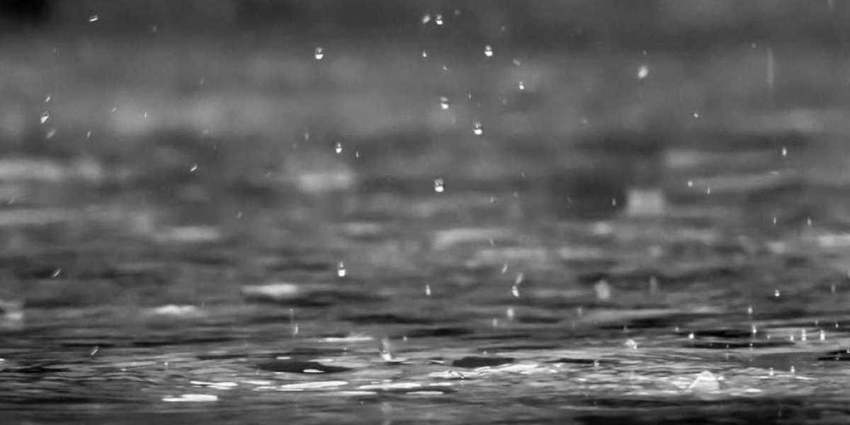Expert Advice on Stormwater Maintenance for Businesses