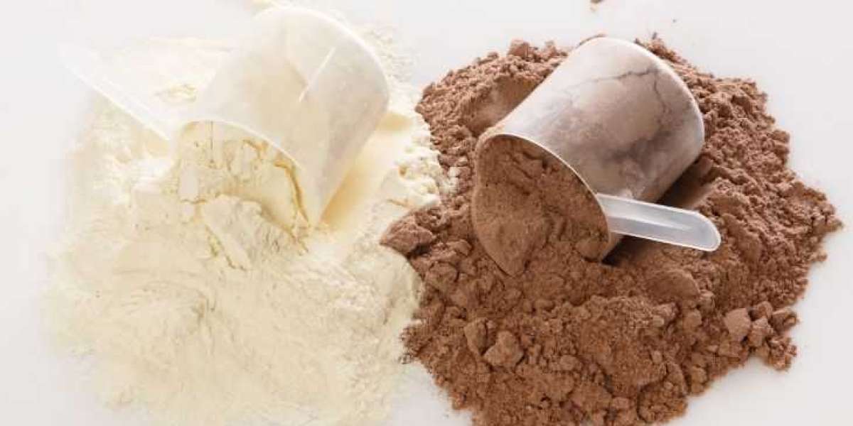 Whey Protein Concentrate Market: Growth Trends, Opportunities, and Future Outlook