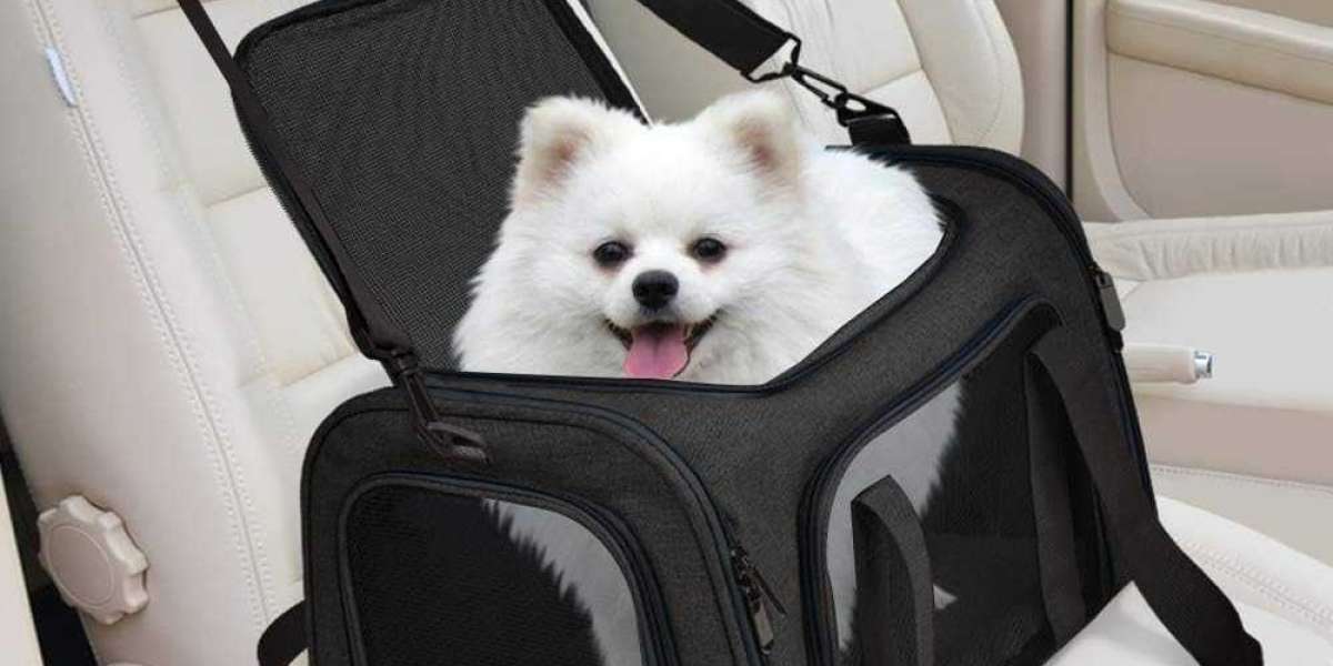 Relaxation and style: Choosing the right pet gofter for small dogs