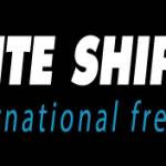 Elite Shipping Profile Picture