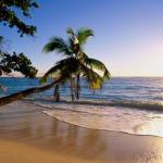 Irisha_shueva_ZeustraHub Profile Picture