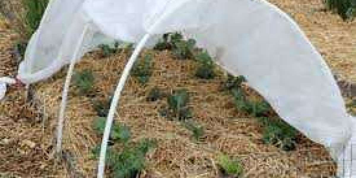 Why Is Plant Protection So Crucial in All Seasons?