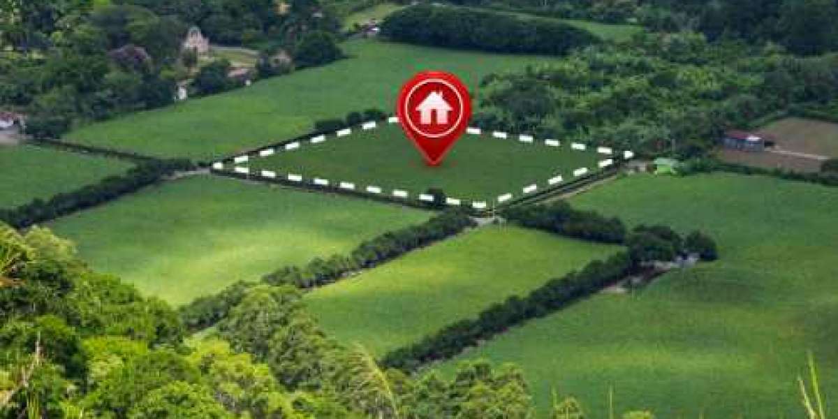 How to Buy Plots for Sale in Jhajjar?