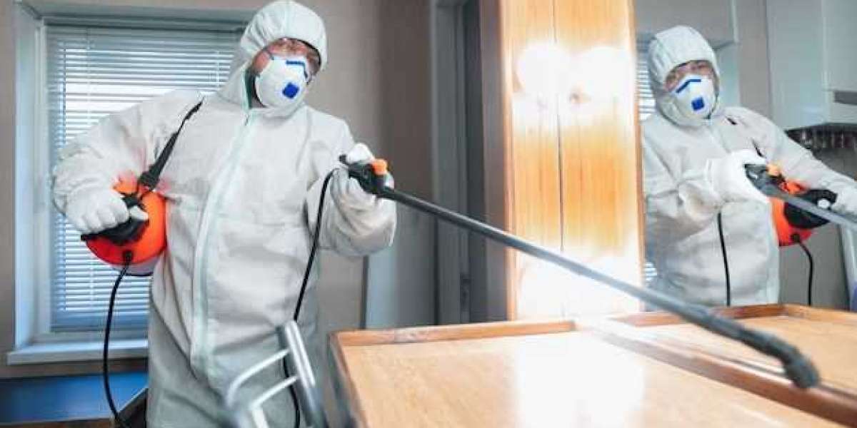 Trusted Sources for Quality Pest Control Products in Broadway