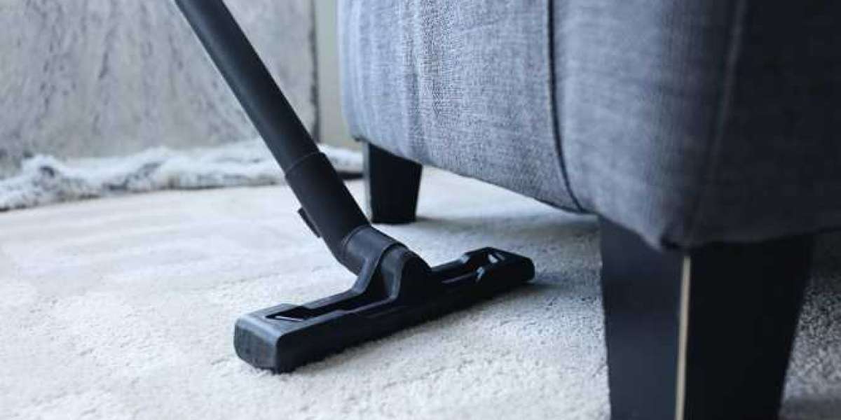 Best Carpet Cleaning Company Littleton CO | Why Choosing the Right Service Matters