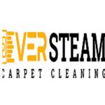 Ever Steam Carpet Cleaning LLC Profile Picture