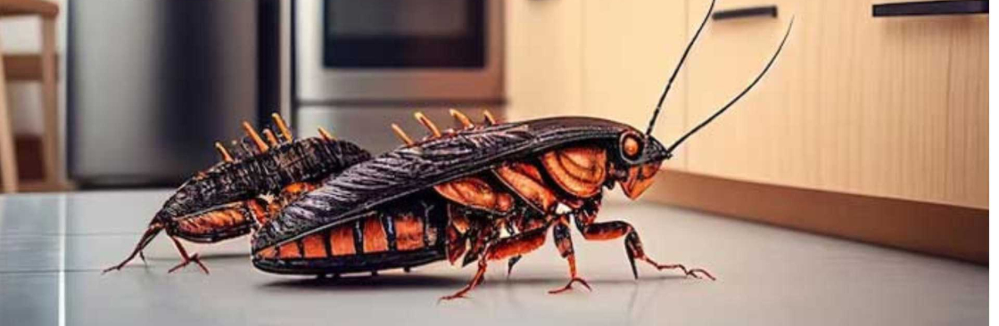 Al Ameen Pest Control Cover Image
