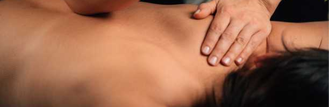 The Wellness Haven Cover Image