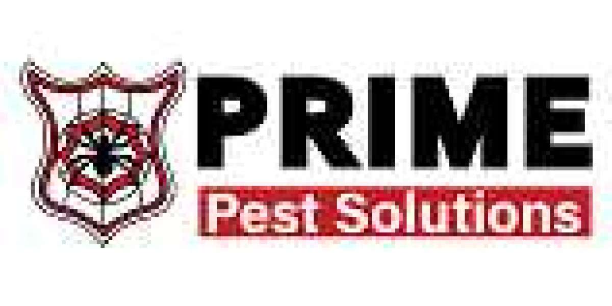 Ant Pest Control Melbourne – Prime Pest Solutions