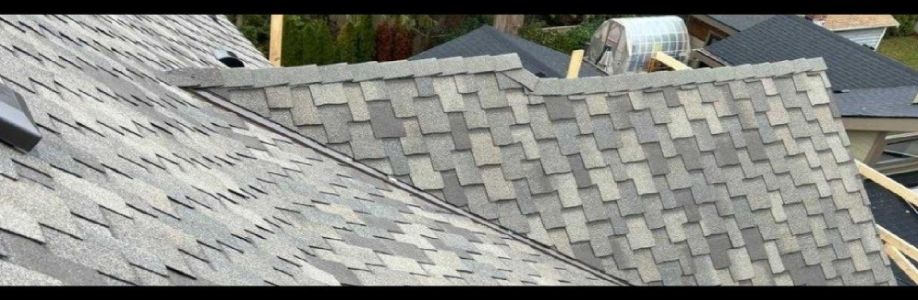 Anytime Roofing Cover Image