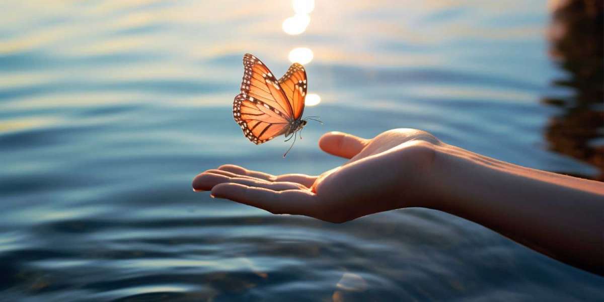 Life Transformation and Inner Growth Journey that empowers you