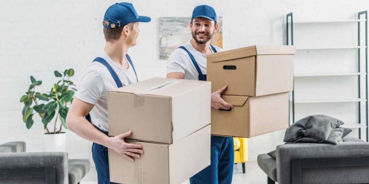 Professional Moving Assistance You Can Trust in Washington DC
