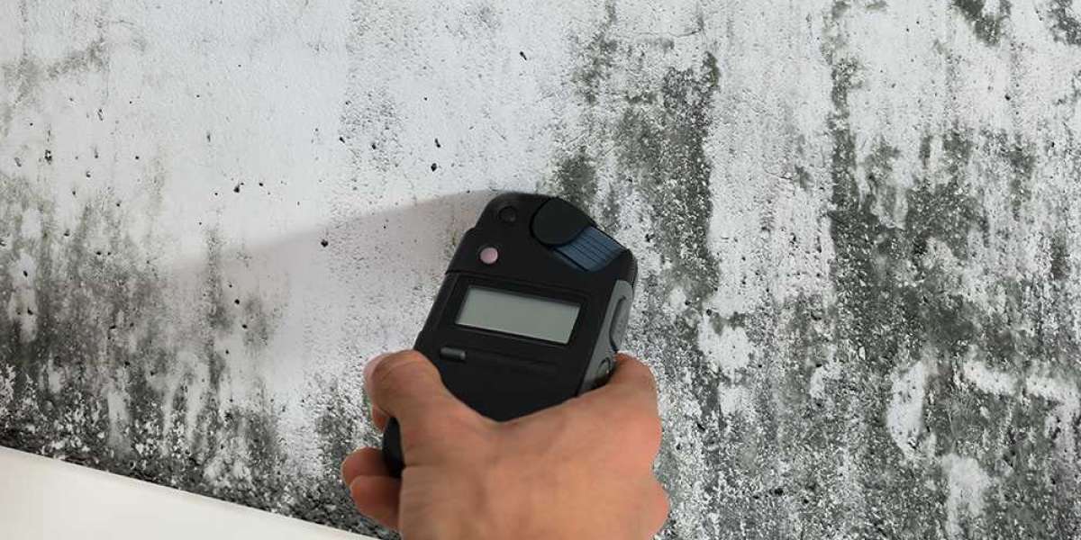 Mold Inspection Atlanta