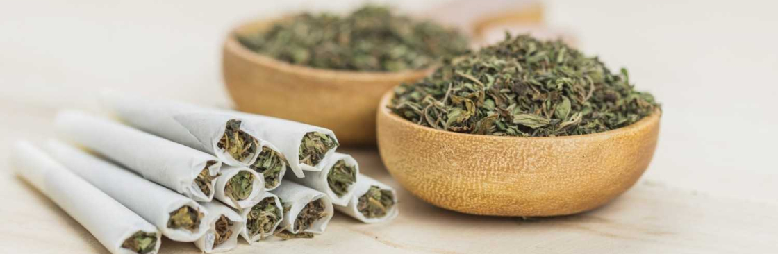 My Florida Green Medical Marijuana Naples Cover Image