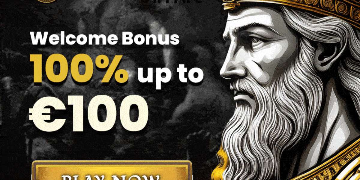 Where Adventure Never Ends: The Spirit of godofcasino Awaits in New Zealand