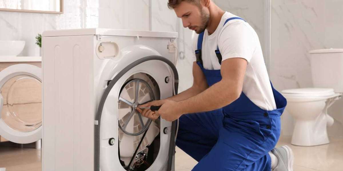 ChatGPT said:  Who Offers Expert Miele Washing Machine Repair in Naperville