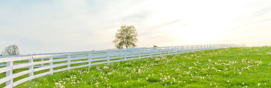 Pinecrest Fence Company Cover Image