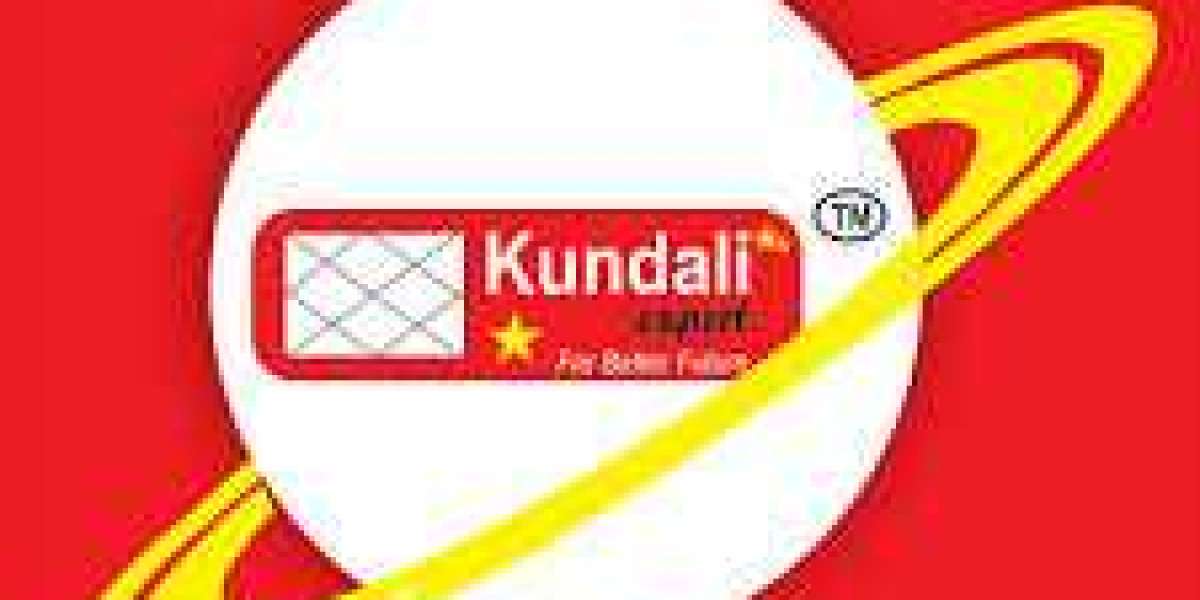 Advance Online Palmistry Courses: Unlocking the Secrets of Hand Lines