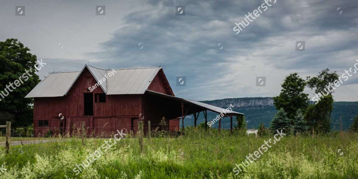 Everything You Need to Know About Home Inspection Pine Bush NY