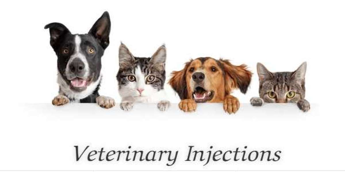 Veterinary Injection Suppliers in India