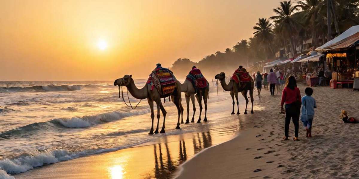 Explore the Best Picnic Spots in Karachi