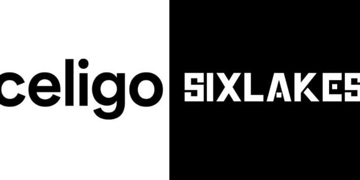 Celigo NetSuite Integration Services | SixLakes Consulting