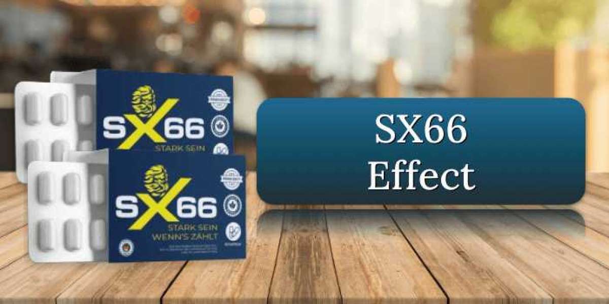 Wo kann ich SX66 kaufen?