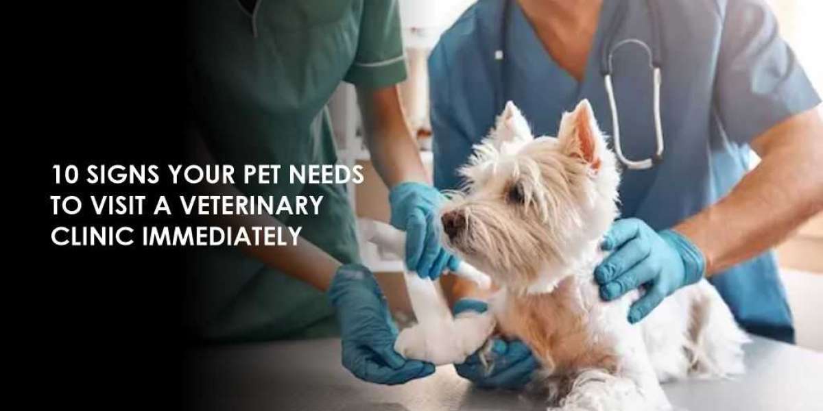 10 Signs Your Pet Needs to Visit a Veterinary Clinic Immediately
