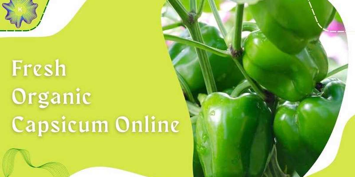 Get Fresh Organic Capsicum Online – Direct from the Farm