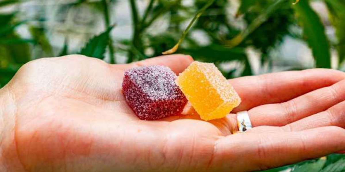 Real Relief or Just Hype? Honest Reviews of Planta CBD Gummies