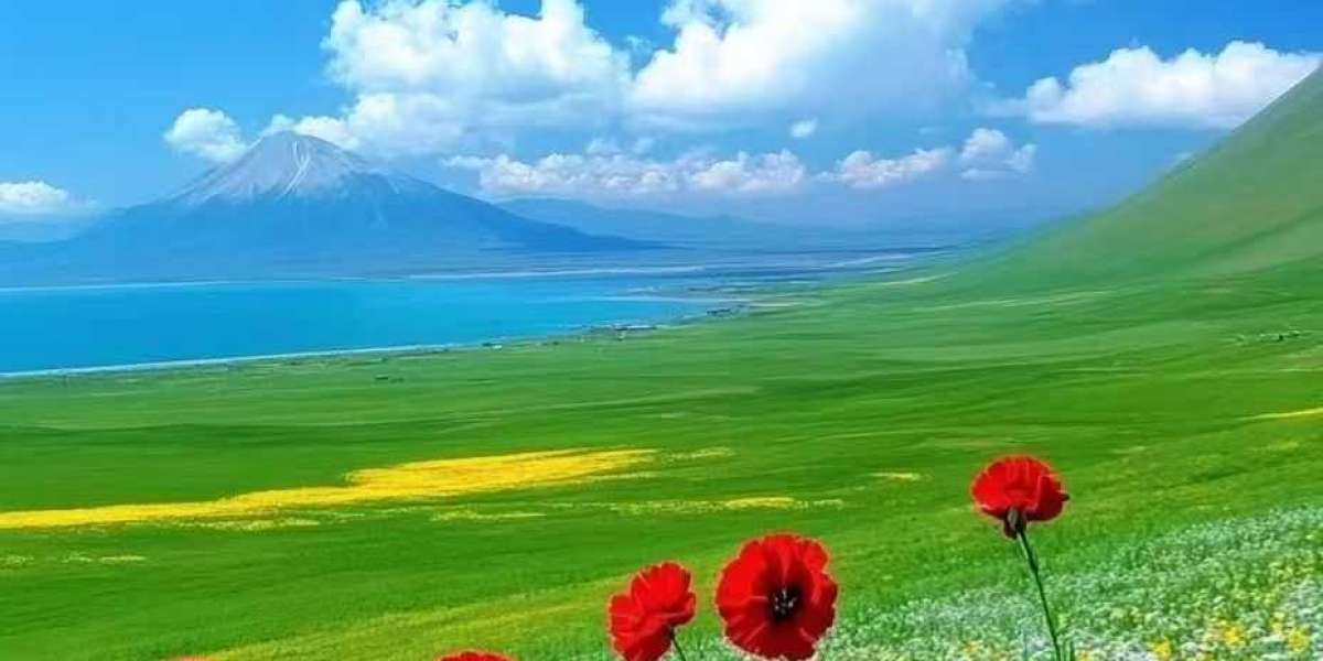 Posting: Dollars signal F Jaylin Galloway toward 2-path package