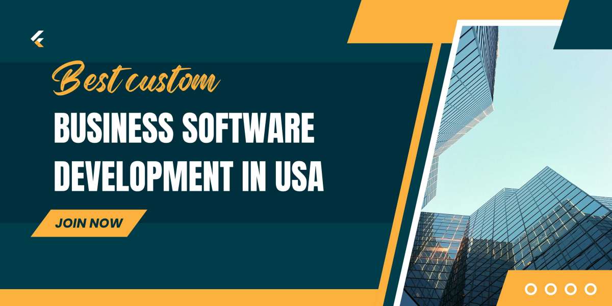 Best custom business software development in the world 2025