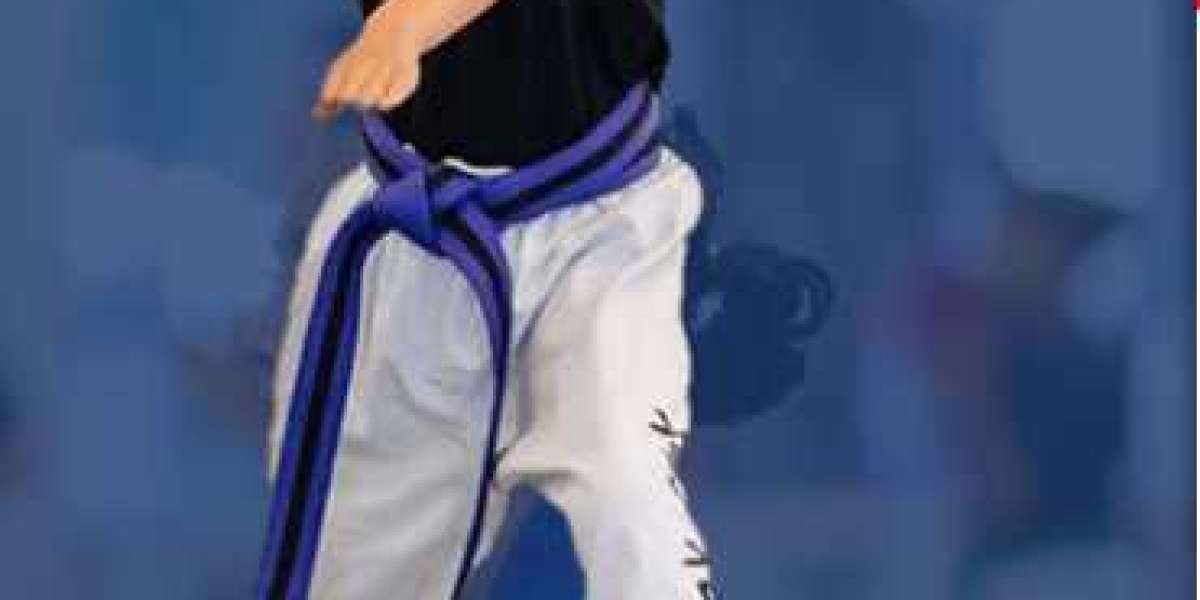 Korean martial arts taekwondo