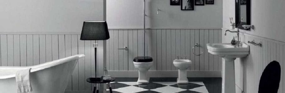 Saniterica Cover Image