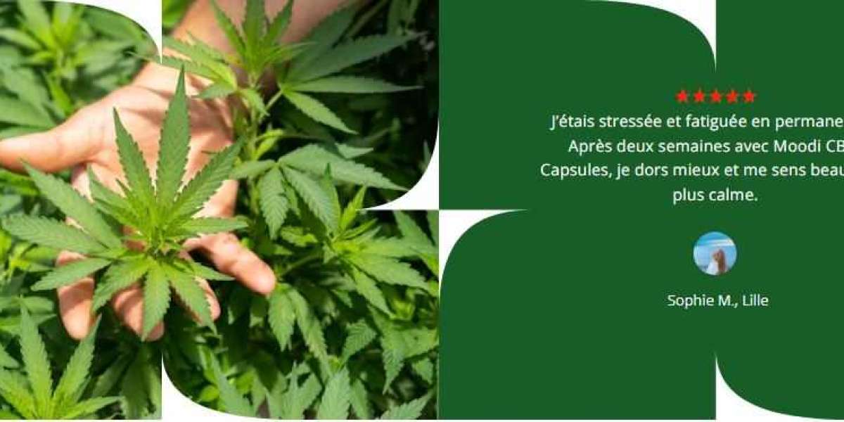 moodi CBD 300mg FORMULE NATURELLE N°1 pour vaincre la douleur, le stress et l'anxiété!