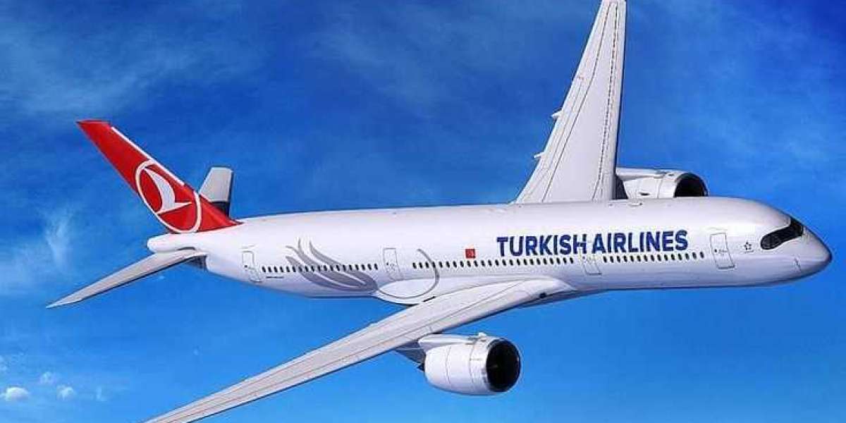 Instant Help Via Turkish Airlines Booking Phone Number Miami Airport