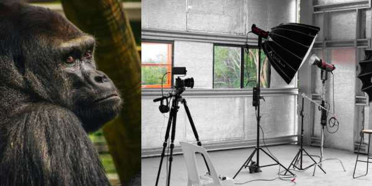 Instant Professional Photos: The Power of a Headshots Booth at Events