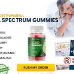 BlissHarmony CBD Profile Picture